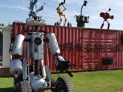 -上海长兴岛郊野公园