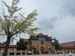 -妙乐寺