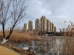 -前关湿地公园