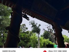 -晋祠公园