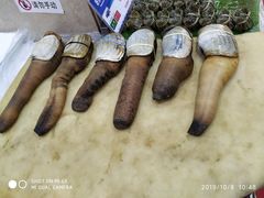 -东江海鲜酒家(艺都分店)