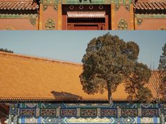 -故宫博物院(故宫)