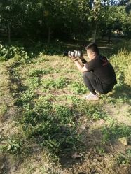 -格林童趣专业儿童摄影(公益西桥店)