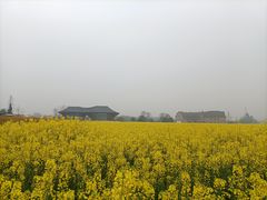 -中国天府农业博览园