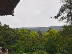 -灵谷景区