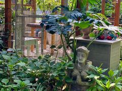 -谷咖啡·鲜花绿植花园餐厅