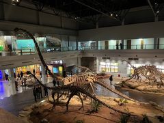 -自贡恐龙博物馆