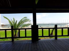 -碧海金沙