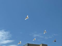 -青岛海景花园大酒店