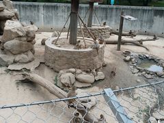 -西安秦岭野生动物园