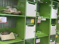 -唐小姐の猫狗洗护·购宠旗舰店(周浦万达店)