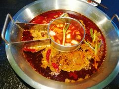 番茄鸳鸯锅-味当家鱼头火锅.•甲鱼料理(金沙店)