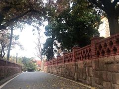 -八大关景区