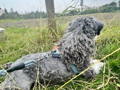 -中国天府农业博览园