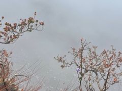 -夏威夷火山国家公园