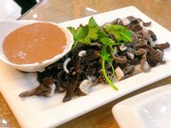 -杨记小骨头羊杂馆(南五马路店)