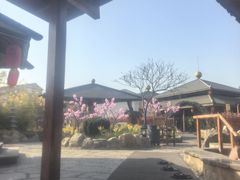 -华山御温泉度假村