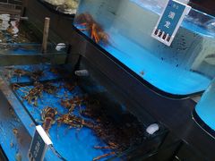 水产区-金海湾海鲜总店