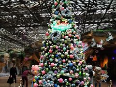 -杭州开元森泊度假乐园