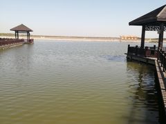 -南大港湿地风景区