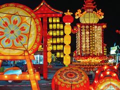 -欢乐海岸椰林沙滩-2025湾区超级灯会