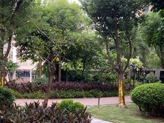 -真豪佳(万达店)