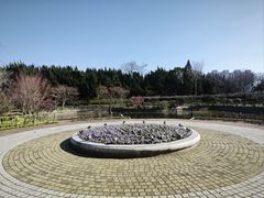 -嘉定紫藤园