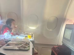 -海南海航航空信息系统公司