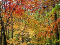 -丹东天桥沟景区