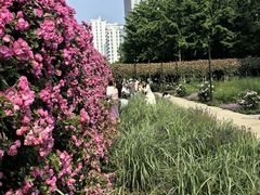 -汇德隆银隆