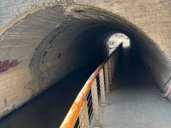 -白水寺森林公园