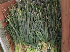 进门一边储存的大葱-四平包子铺