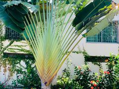 -三亚南山文化旅游区