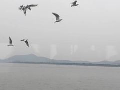 -苏州吴中太湖旅游区
