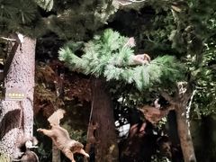 -陕西自然博物馆