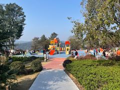 -铁山坪森林公园