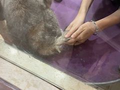 -宠颐生汉谟拉比宠物医院