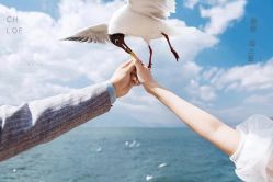 -帆拉斐婚纱摄影(春熙店)