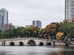 -荔湾湖公园