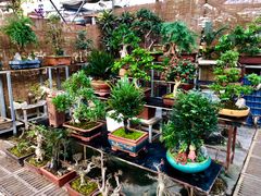 -秦美花卉(天朗·莱茵小城2期店)