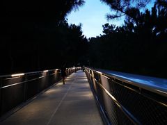-仙岳公园