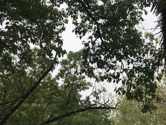 -团城山公园