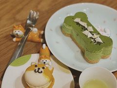 抹茶慕斯-柴务处·柴犬主题狗咖