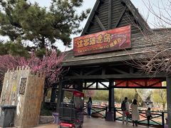 -青岛方特梦幻王国