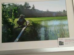 android_upload_pic-黔蘑菇四季餐厅(观山湖店)