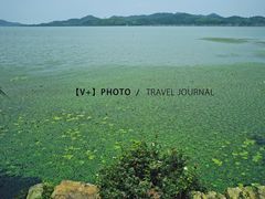 景点-东钱湖旅游度假区