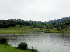 -东莞植物园