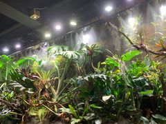 -玖壹咖啡(临河街店)