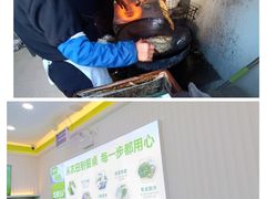 -老窦肥肠板面