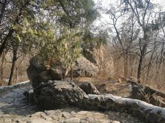 -阳台山自然风景区